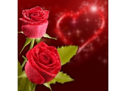 爱心和玫瑰花图