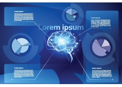 大脑信息图表背景