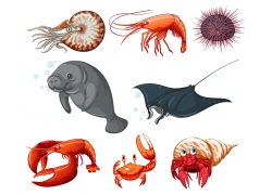 海洋動物設計