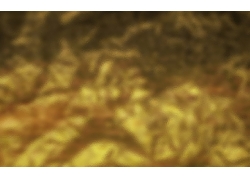 Gold Textures (12)