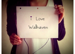 ,wallhaven,Ƭ35848