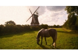油画,风车,马,景观166081