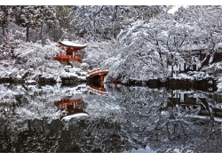 日本,冬季,宝塔,雪,水,池塘,反射,树木,亚洲建筑,建筑,景观,桥167