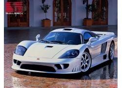 ܇,Saleen S7293222