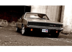 ,,Charger,ү197743