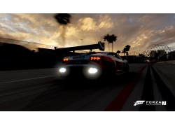 ޾,,,Forza Motorsport,Forza Motorsport 768