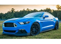 Ұ,2015 Ford Mustang RTR,565355