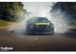 Ұ,,,RTR,2014 Ford Mustang RTR221708