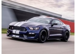 ҰлGT350,,Ford-Mustang Shelby GT350671053