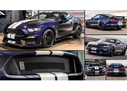 ҰлGT350,,Ford-Mustang Shelby GT350671054