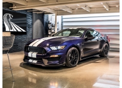 ҰлGT350,,Ford-Mustang Shelby GT350671055