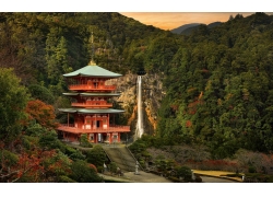 景观,树木,森林,云,水,日本,亚洲建筑,建造,日本花园,楼梯,秋季,