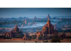全景,佛教,寺庙,薄雾,树木,早上,亚洲建筑,景观205262