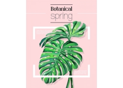 春季植物花纹背景叶子海报 (2)