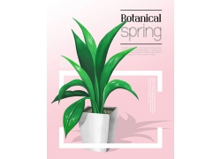 春季植物花纹背景叶子海报 (5)