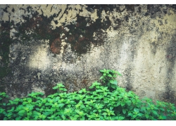 40-Stone-Wall-Background-Textures-125936608