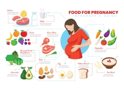 elements-food-for-pregnancy-infographic-psd-and-ai-vector-BC
