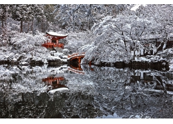 日本冬季宝塔雪,水池塘树木亚洲建筑景观桥风景风光照片