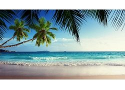 美丽蔚蓝天空海水海边黄色沙滩海浪景观美丽风景高清图片