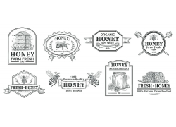 蜜蜂蜂蜜产品标签主题矢量插画设计