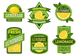 橙汁果汁产品标签主题矢量插画设计