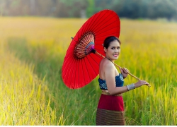 稻田的女性人物摄影
