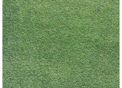 绿色草地台湾草草坪材质装饰背景